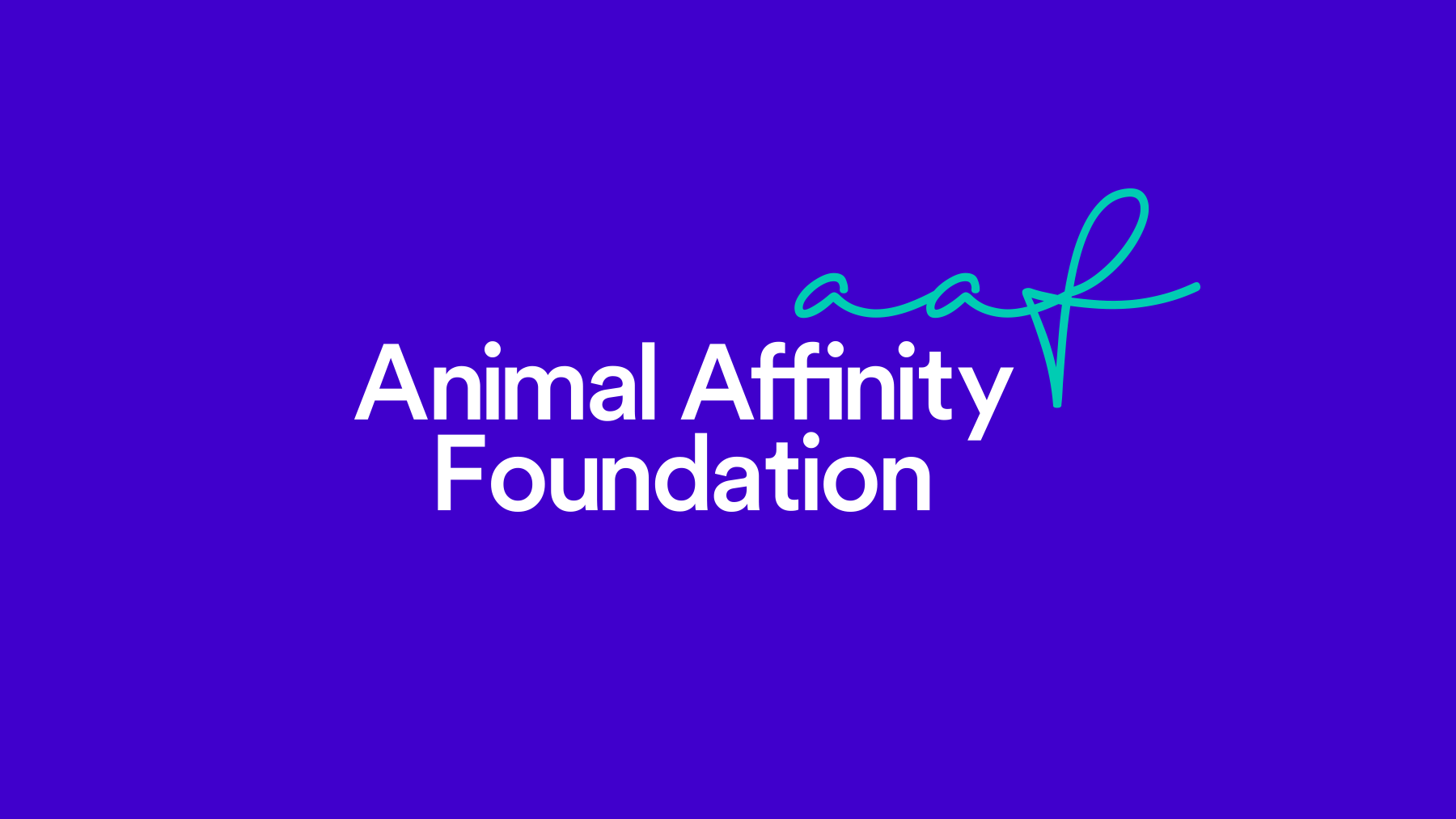Animal Affinity brand design concept over a solid purple background.