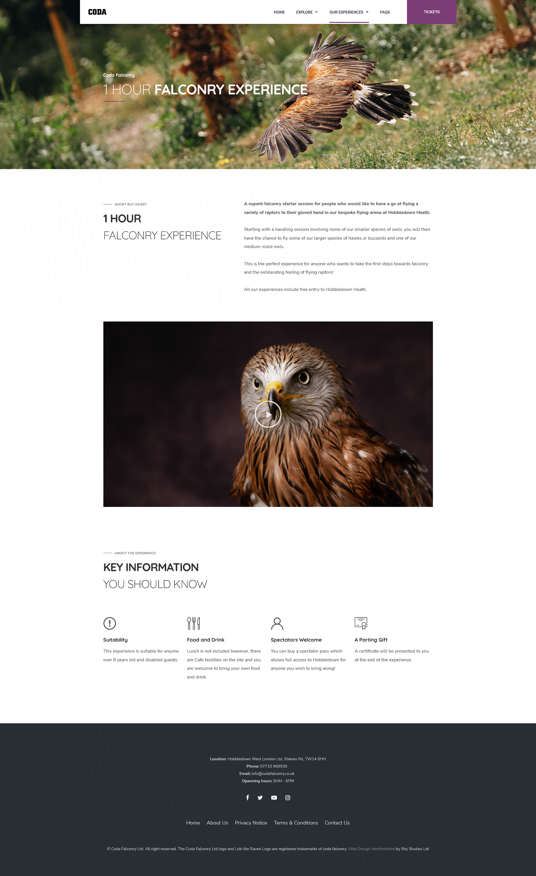 Falconry experience page design for Coda Falconry.